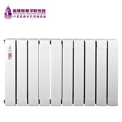 全球暖氣片十大品牌